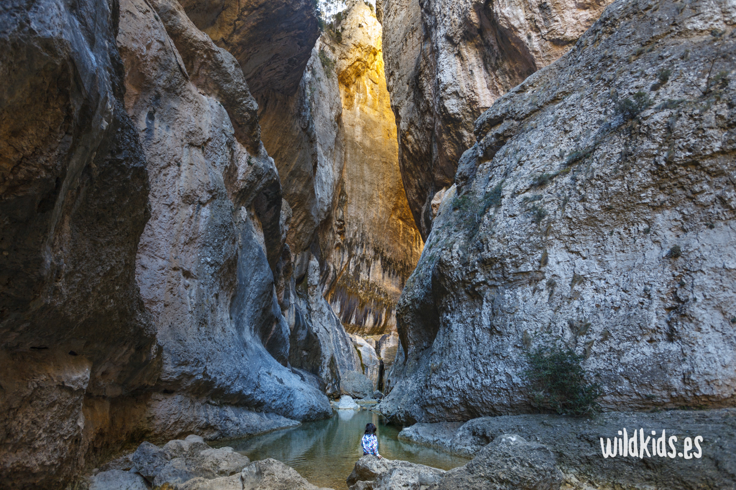 Cañón de roca del Parrizal de Beceite en Teruel